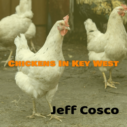 CHICKENS IN KEY WEST →WATCH / LISTEN←